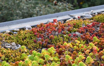 the cost of Trewennack green roof installation